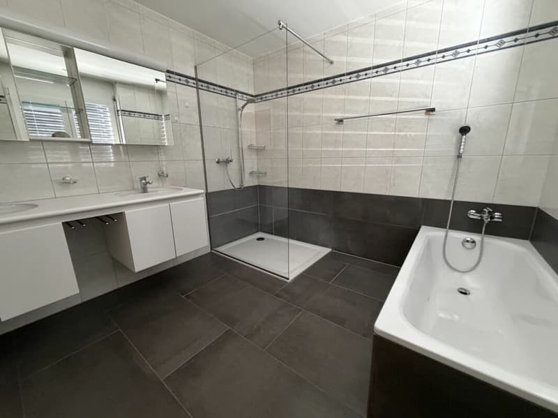 5.5-Zimmer Attika-Wohnung im Zentrum und doch an ruhiger Lage und mit viel Privatsphäre 126 m2 Nettowohnfläche, mehr als 100 m2 Terrasse (9)