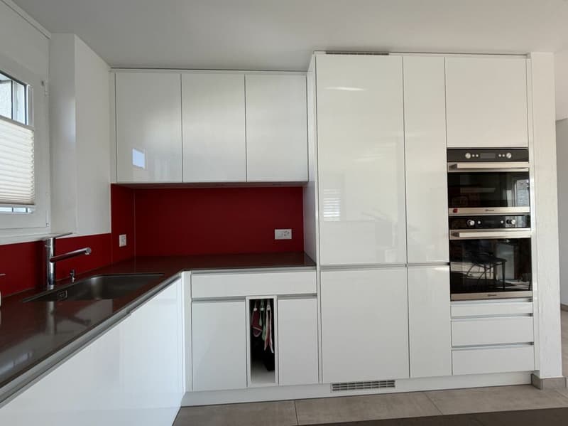 5.5-Zimmer Attika-Wohnung im Zentrum und doch an ruhiger Lage und mit viel Privatsphäre 126 m2 Nettowohnfläche, mehr als 100 m2 Terrasse (4)