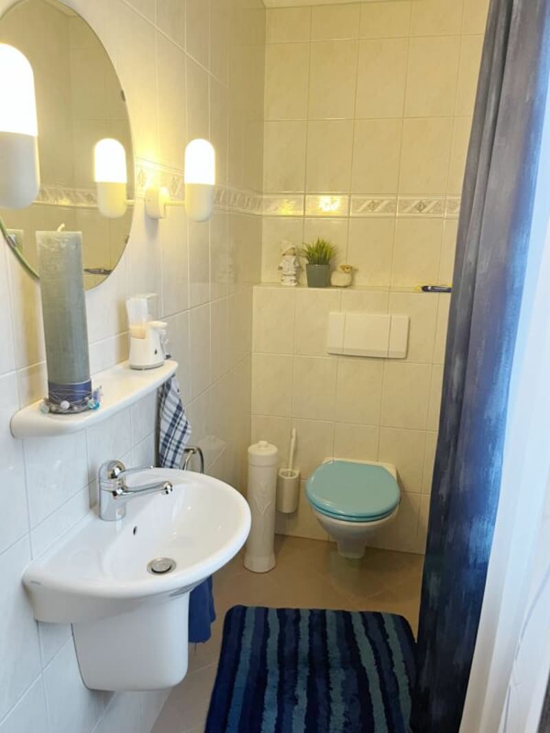 5.5-Zimmer-Doppeleinfamilienhaus mit Weitblick (6)