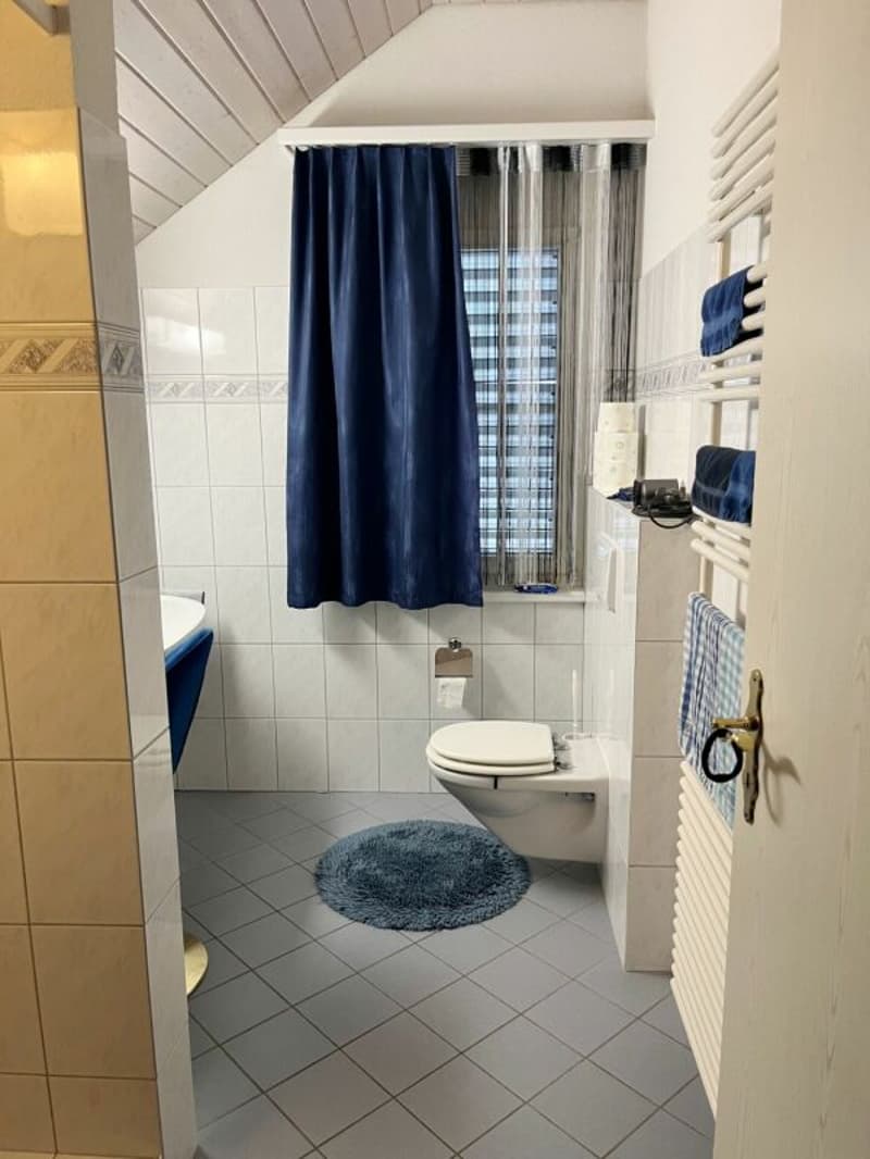 5.5-Zimmer-Doppeleinfamilienhaus mit Weitblick (13)