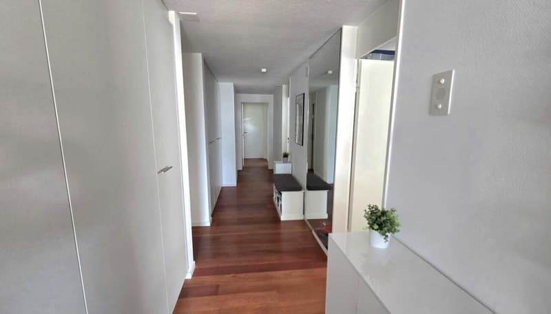 Stilvolle 5.5-Zimmer-Wohnung mit Alpsteinblick und Wellnessoase (9)