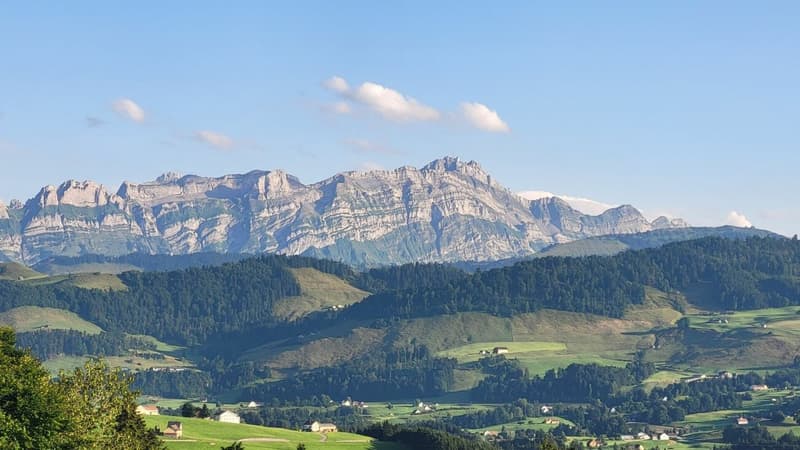 Stilvolle 5.5-Zimmer-Wohnung mit Alpsteinblick und Wellnessoase (1)