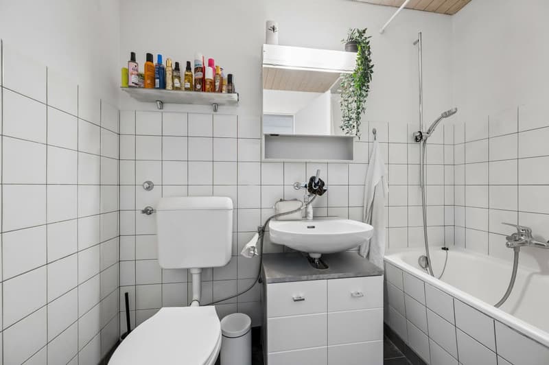 Appartamento di 4.5 locali ben mantenuto con balcone e vista panoramica (9)