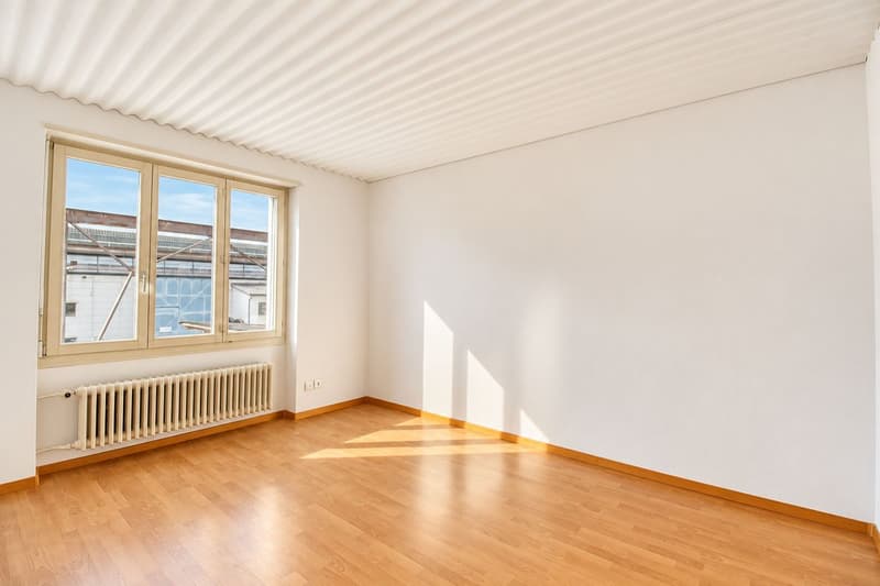 3-Zimmer-Loft mit Cheminée, Bergsicht, Balkon und Terrasse in Thun (9)