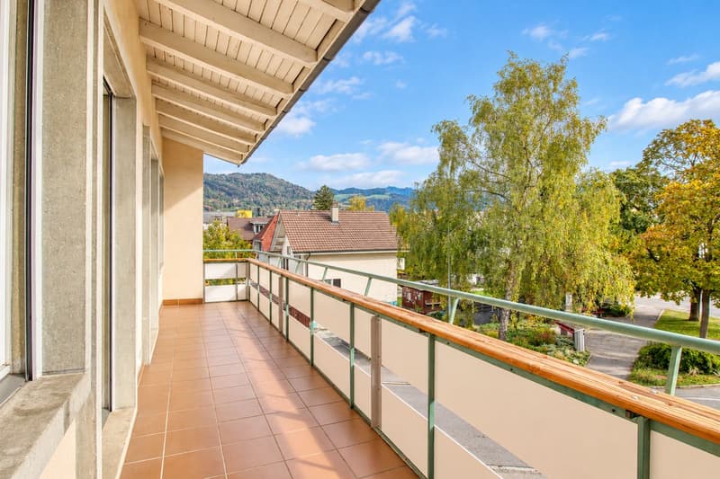 3-Zimmer-Loft mit Cheminée, Bergsicht, Balkon und Terrasse in Thun (7)