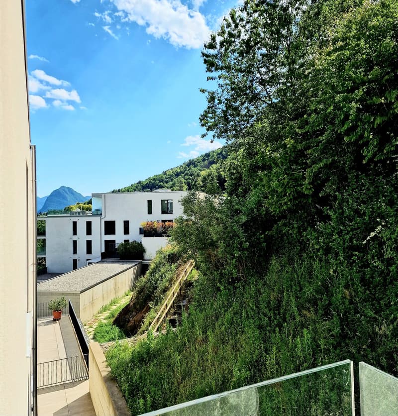 Schönes 4.5-Zimmer-MINERGIE-P®-Wohnung mit Terrasse und Balkon (4)