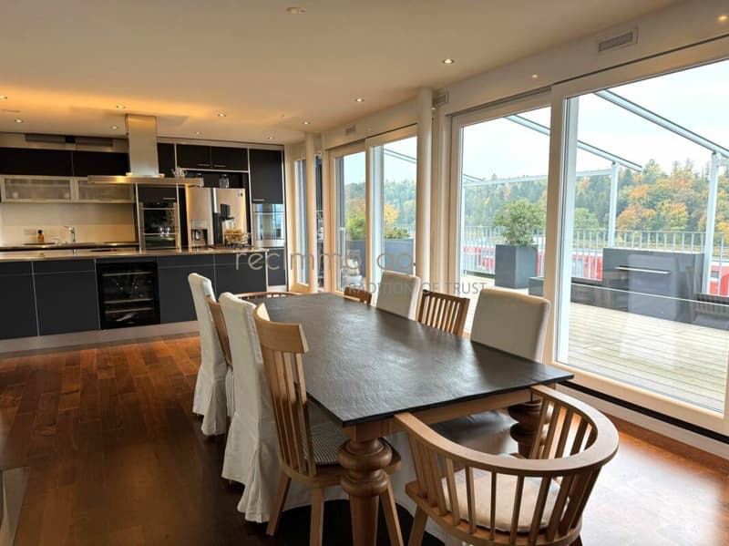 Exklusive 5.5-Zimmer-Wohnung mit 300 m² Terrasse in Döttingen - Raum, Komfort und Stil auf höchstem Niveau (7)