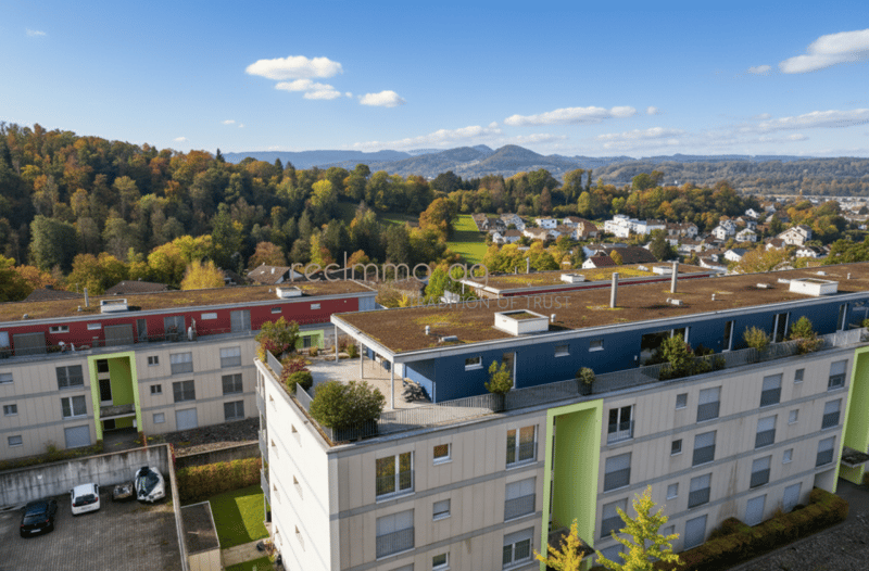 Exklusive 5.5-Zimmer-Wohnung mit 300 m² Terrasse in Döttingen - Raum, Komfort und Stil auf höchstem Niveau (4)
