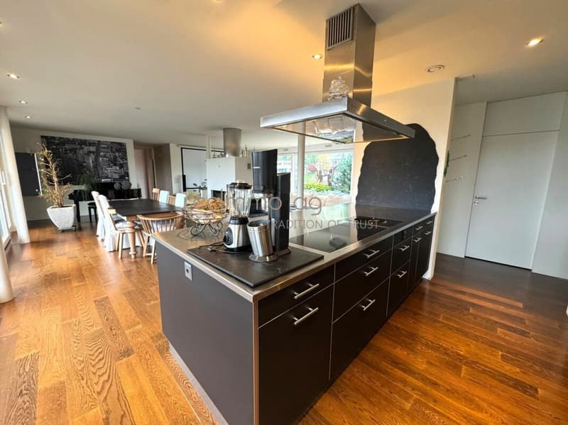 Exklusive 5.5-Zimmer-Wohnung mit 300 m² Terrasse in Döttingen - Raum, Komfort und Stil auf höchstem Niveau (6)