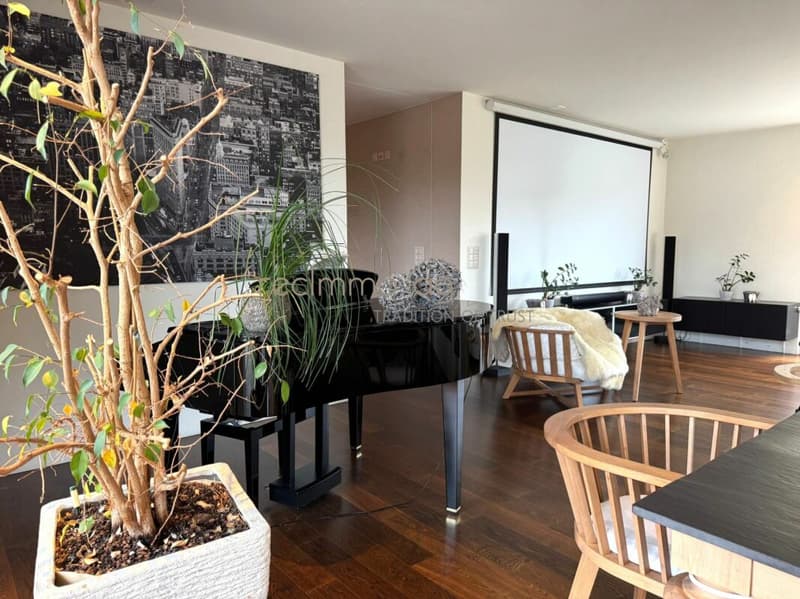 Exklusive 5.5-Zimmer-Wohnung mit 300 m² Terrasse in Döttingen - Raum, Komfort und Stil auf höchstem Niveau (2)