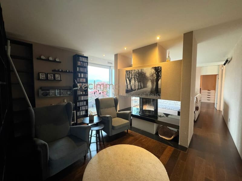 Exklusive 5.5-Zimmer-Wohnung mit 300 m² Terrasse in Döttingen - Raum, Komfort und Stil auf höchstem Niveau (8)