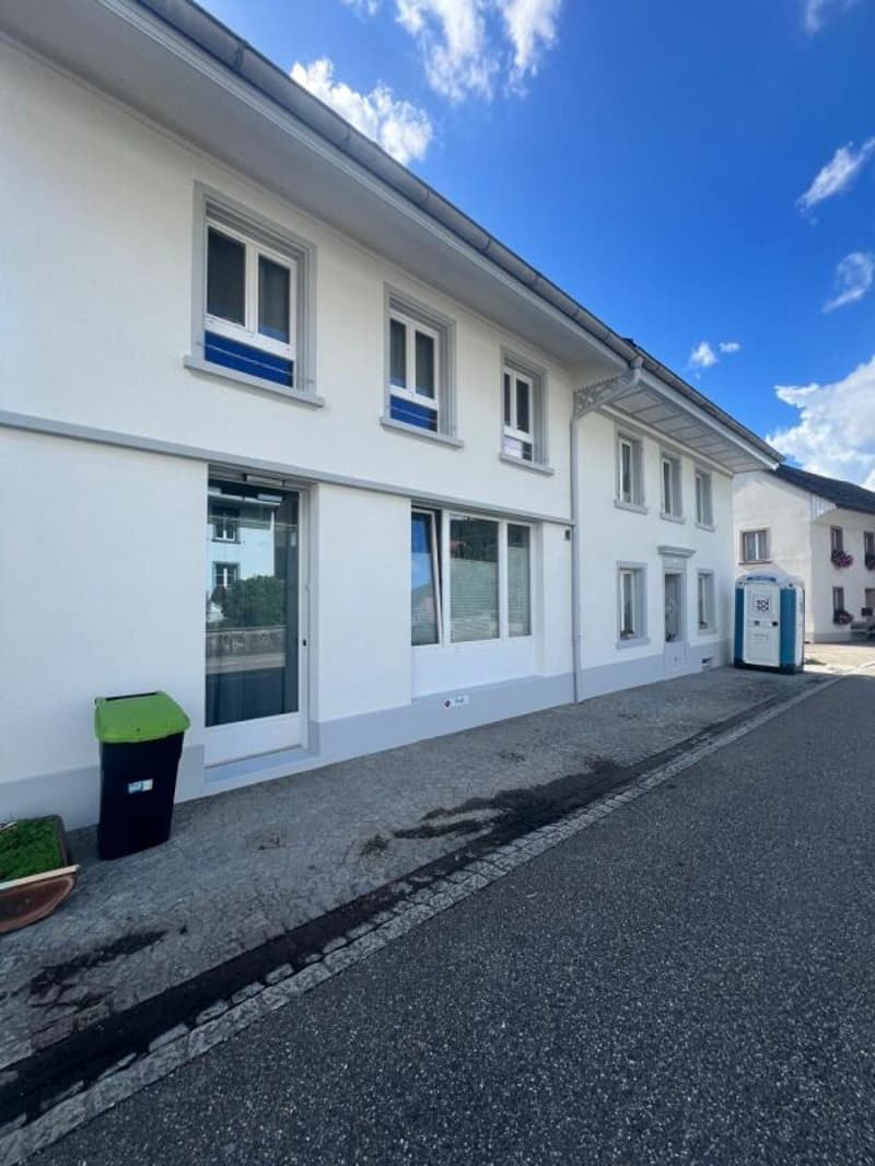Freshly renovated 2.5-room apartment in Wil AG - available for immediate occupancy (5)