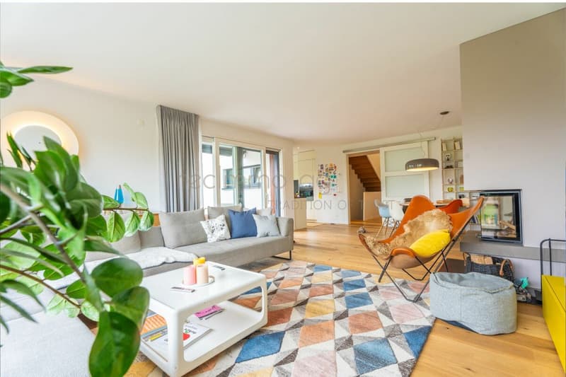 Modern 5.5-room single-family house with Minergie-P standard in a quiet location in Koblenz (7)