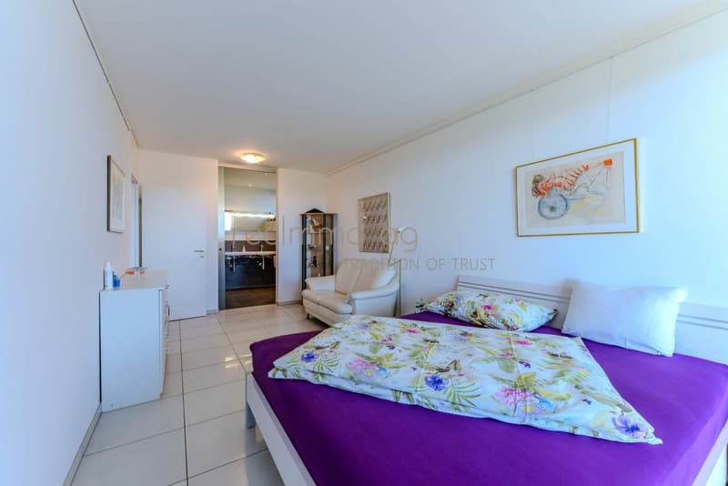Exclusive 4.5-Room Terrace Apartment with Panoramic Views in Biberstein (8)