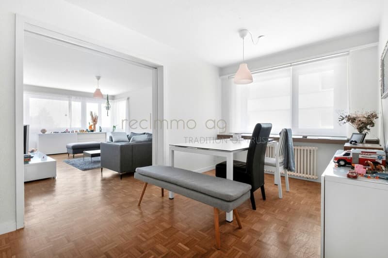 Charmante 4.5-Zimmer-Wohnung mit grosser Terrasse, Gartenanteil und Weitsicht (10)