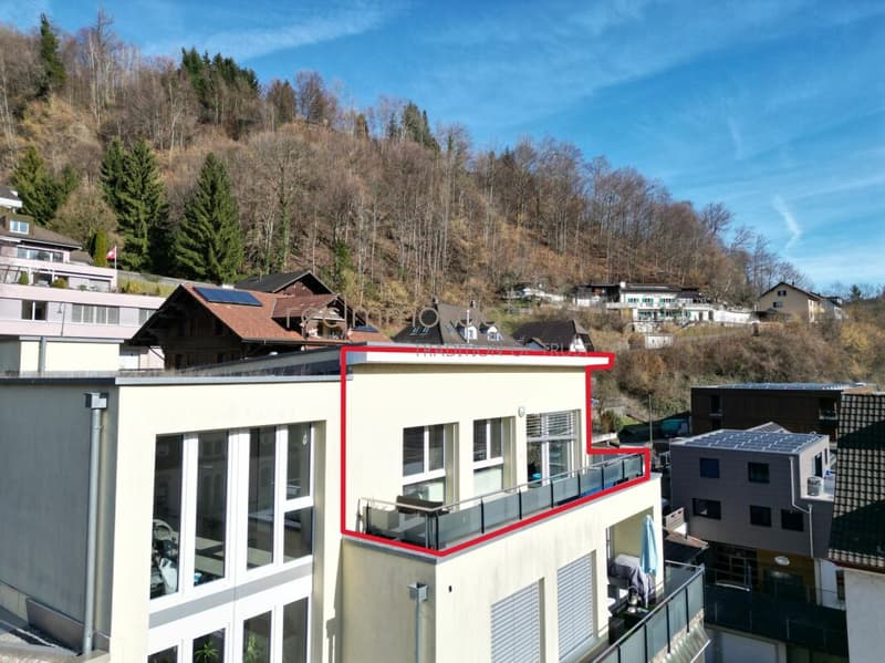 Modern 4.5-Room Penthouse Apartment with Panoramic Views (1)