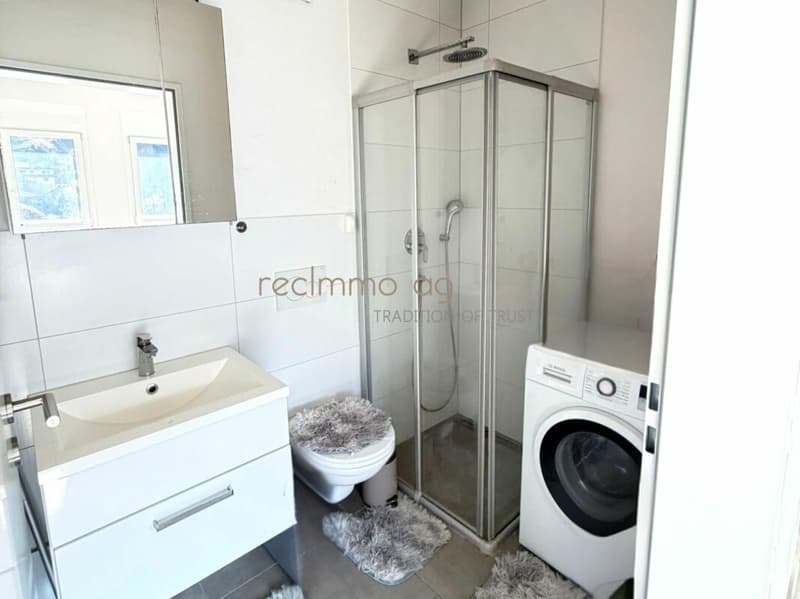 Modern 4.5-Room Penthouse Apartment with Panoramic Views (3)