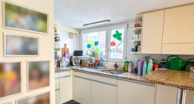 Charmant appartement de 6,5 pièces avec jardin et espace extérieur spacieux à Aarburg (3)
