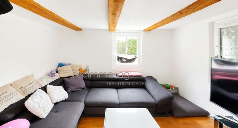 Charmant appartement de 6,5 pièces avec jardin et espace extérieur spacieux à Aarburg (4)