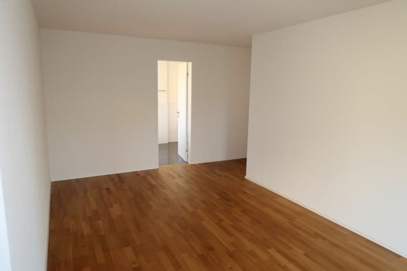 Appartement de jardin exclusif 5.5 pièces avec un niveau de finition haut de gamme à Einsiedeln (4)
