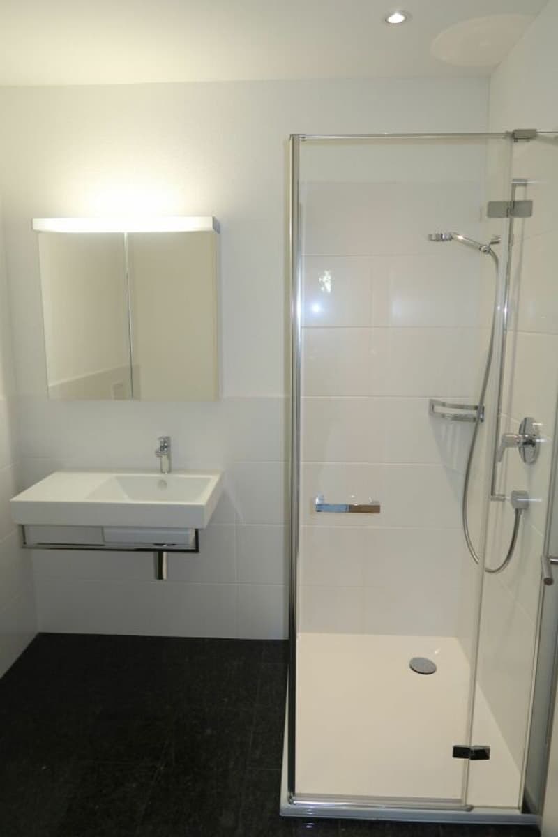 Appartement de jardin exclusif 5.5 pièces avec un niveau de finition haut de gamme à Einsiedeln (6)