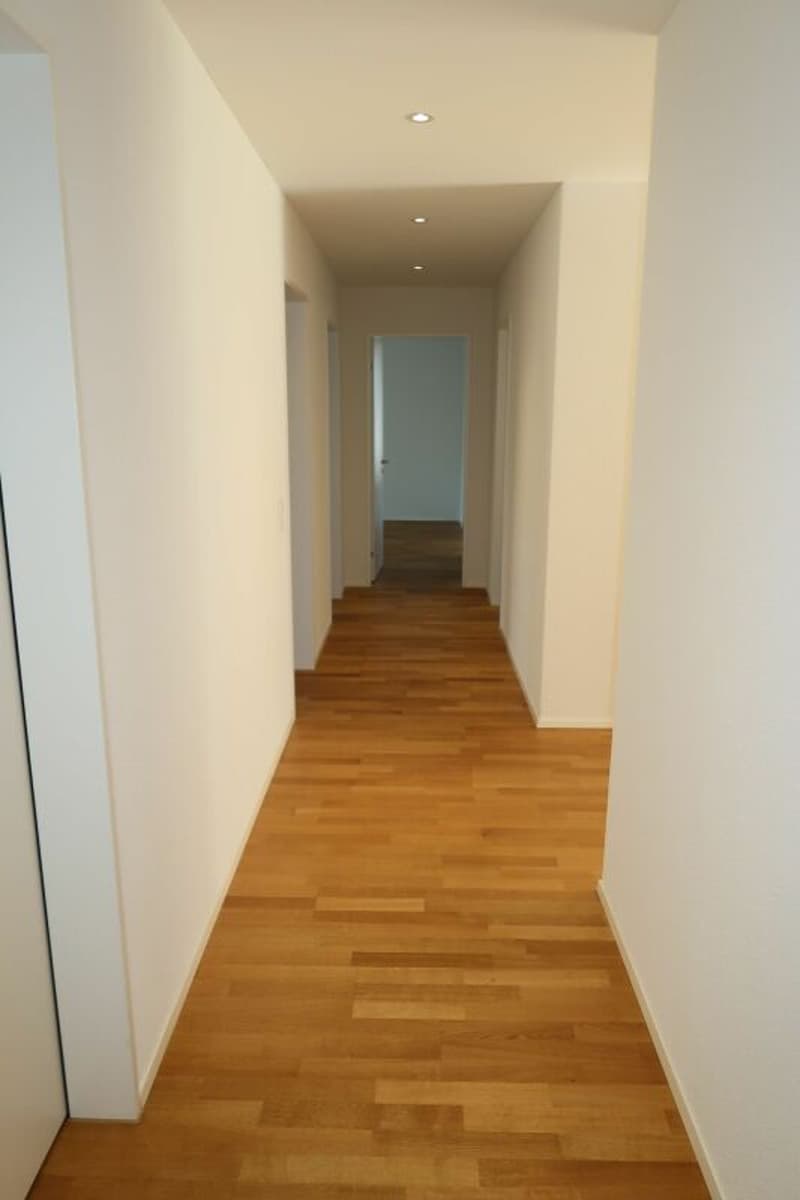 Appartement de jardin exclusif 5.5 pièces avec un niveau de finition haut de gamme à Einsiedeln (5)