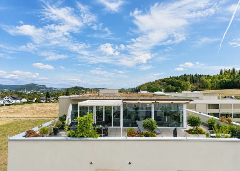 Grosszügige 4.5-Zimmer-Wohnung mit aussergewöhnlicher 145 m² Terrasse in Koblenz (4)