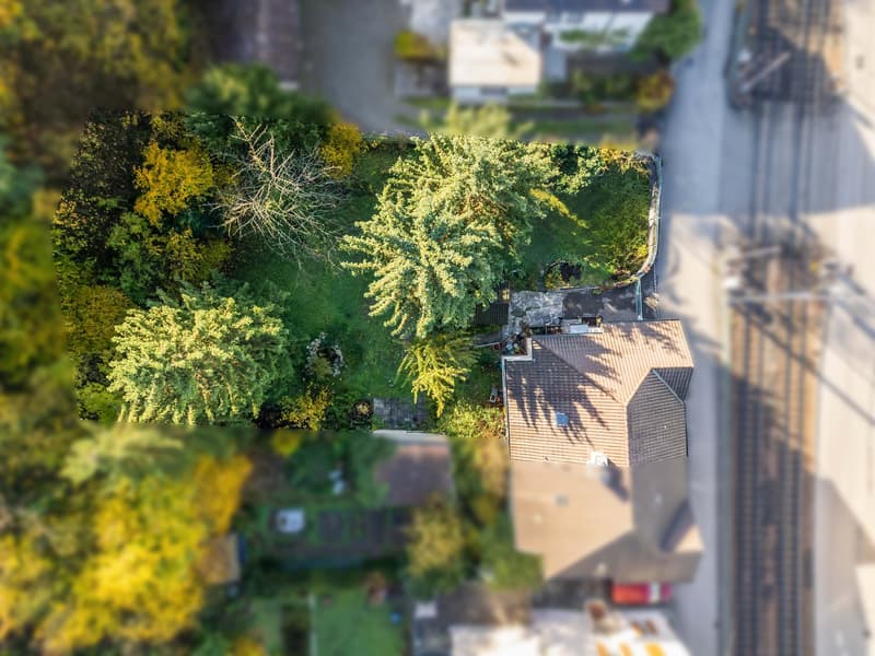 garden with trees, small shed, path, house