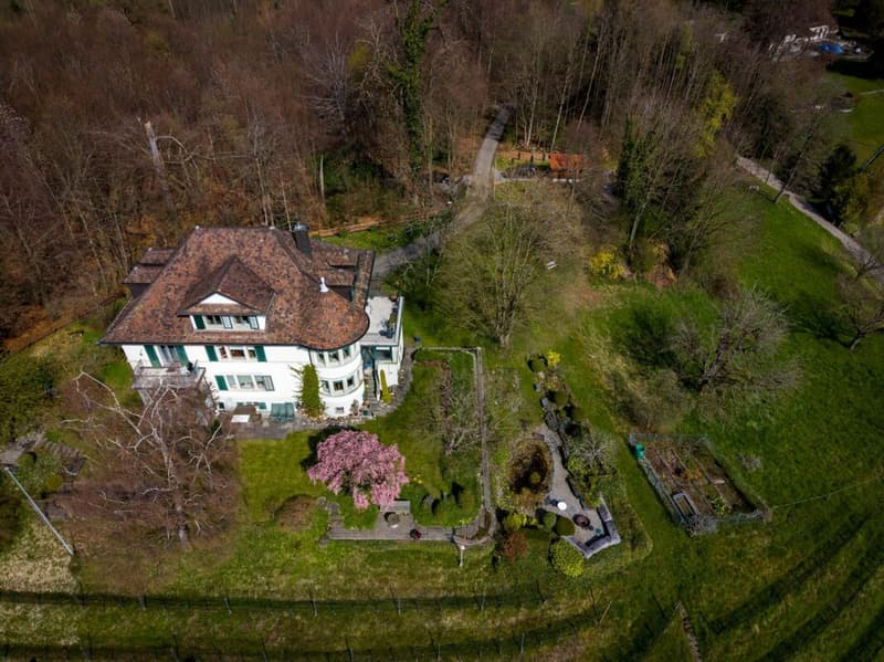 WG-Zimmer in exklusiver 7-Zimmer Maisonette-Residenz in Jugenstilvilla mit See-/Bergsicht (5)