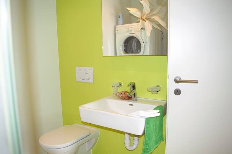 Modern and bright 2.5-room new apartment with large balcony (3)