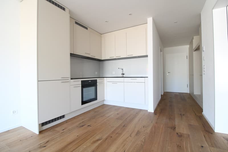 Modern 2.5 room new apartment with spacious seating area in Wängi (2)