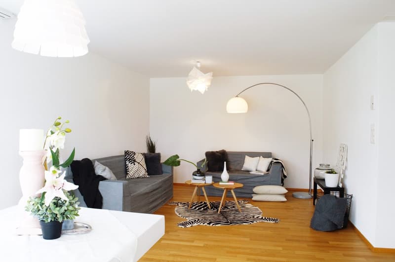 Helle und moderne 4.5-Zimmer-Erdgeschoss-Wohnung (5)