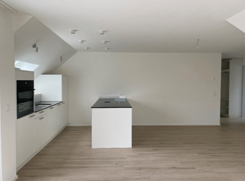 Moderne 4.5-Zimmer-Maisonette-Wohnung (2)