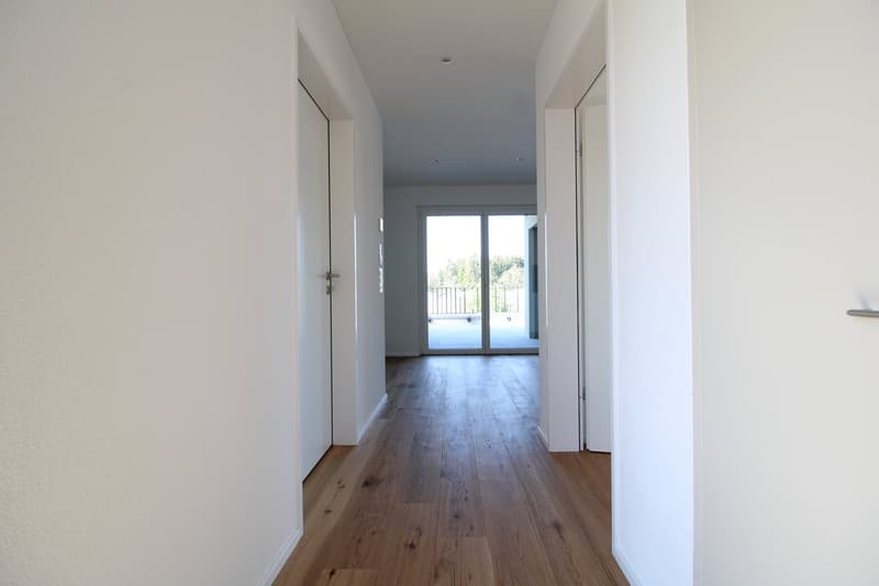 Exklusive 3.5 Zimmer-Attikawohnung im Neubau (10)