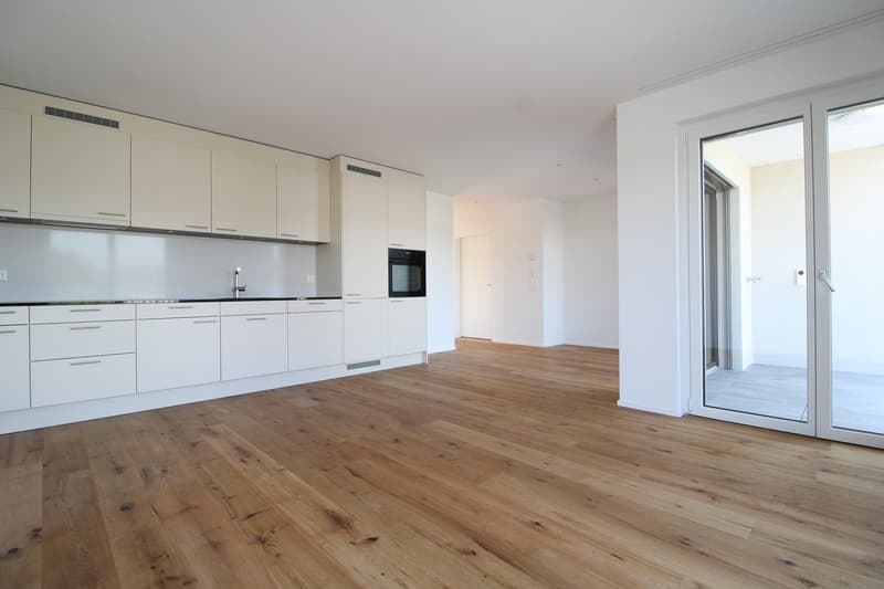 Exklusive 3.5 Zimmer-Attikawohnung im Neubau (4)