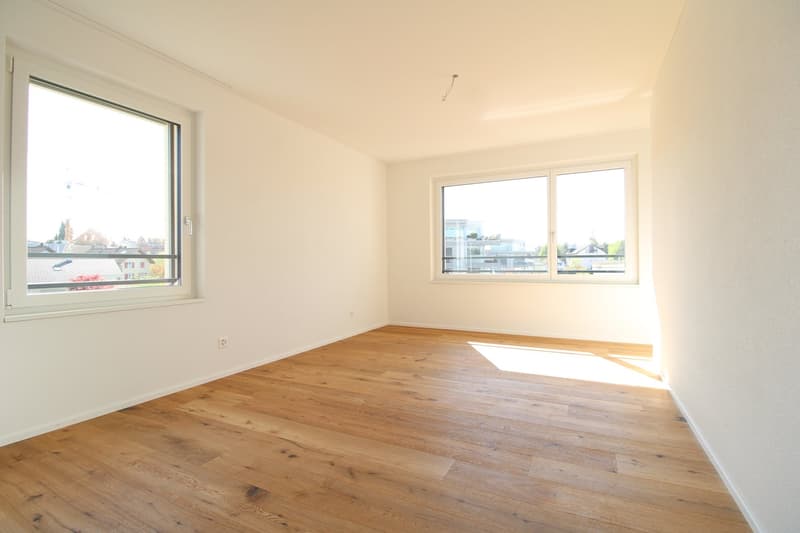Exklusive 3.5 Zimmer-Attikawohnung im Neubau (9)