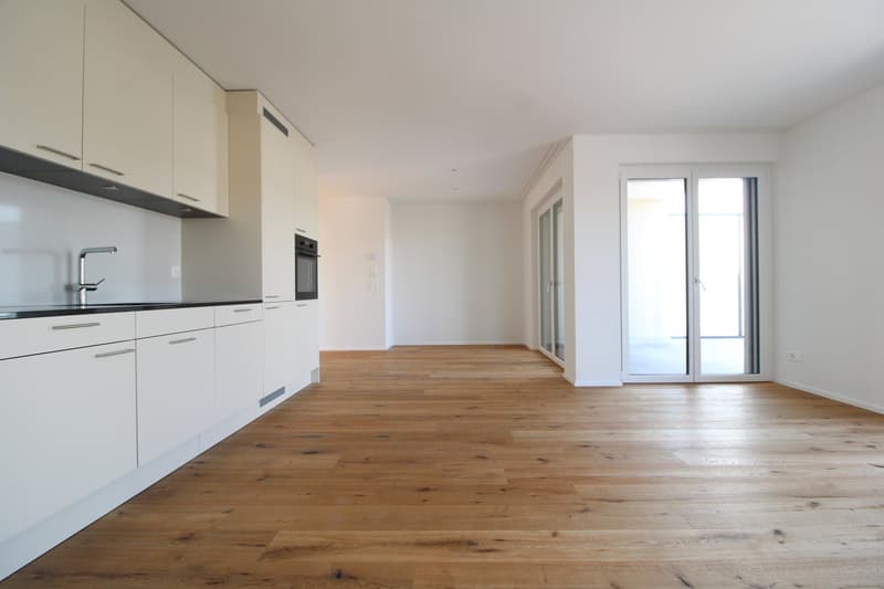 Exklusive 3.5 Zimmer-Attikawohnung im Neubau (5)