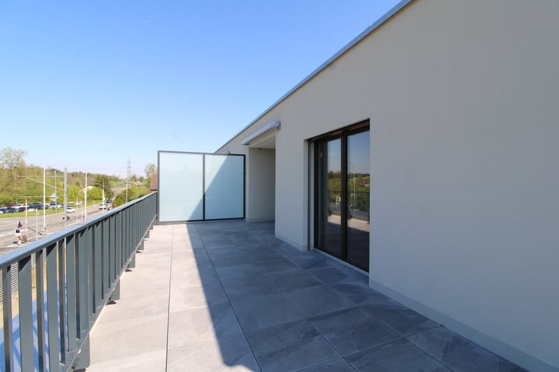 Exklusive 3.5 Zimmer-Attikawohnung im Neubau (11)