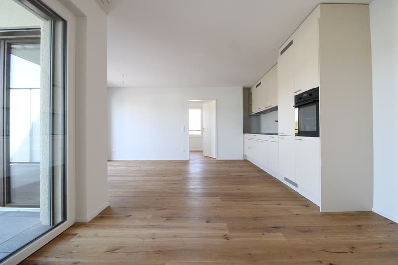 Exklusive 3.5 Zimmer-Attikawohnung im Neubau (2)