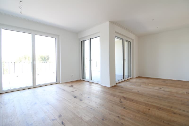 Exklusive 3.5 Zimmer-Attikawohnung im Neubau (7)