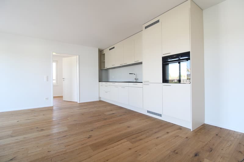 Exklusive 3.5 Zimmer-Attikawohnung im Neubau (3)