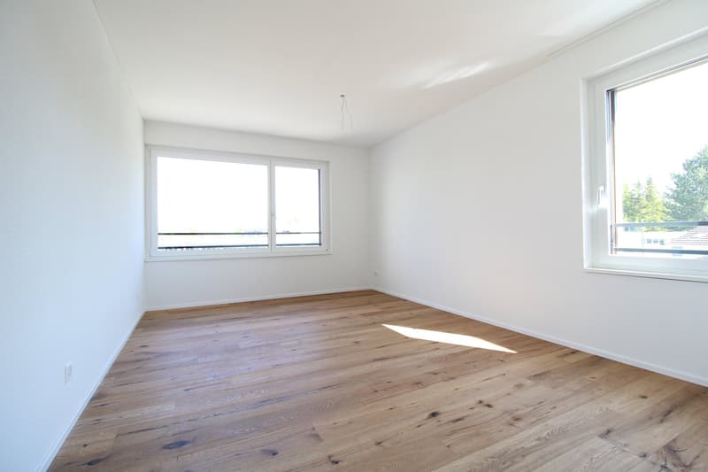 Exklusive 3.5 Zimmer-Attikawohnung im Neubau (8)