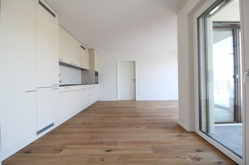 Exklusive 3.5 Zimmer-Attikawohnung im Neubau (6)