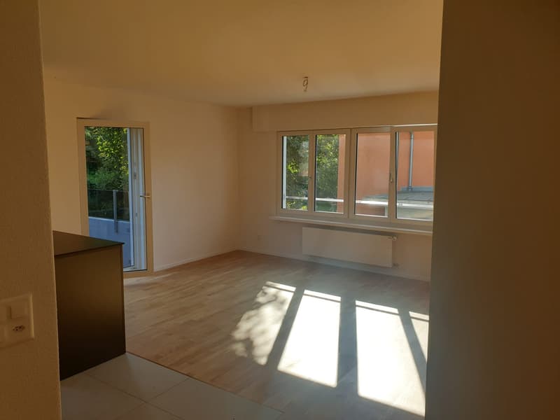 Helle und moderne 3 Zimmer-Wohnung mit Balkon in St. Gallen (2)