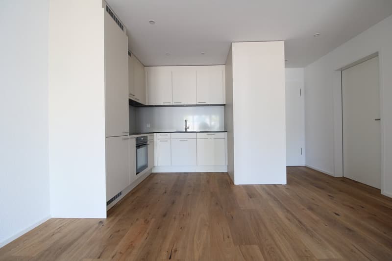 Moderne 2.5 Zimmer-Neubauwohnung mit grossem Sitzplatz in Wängi (2)