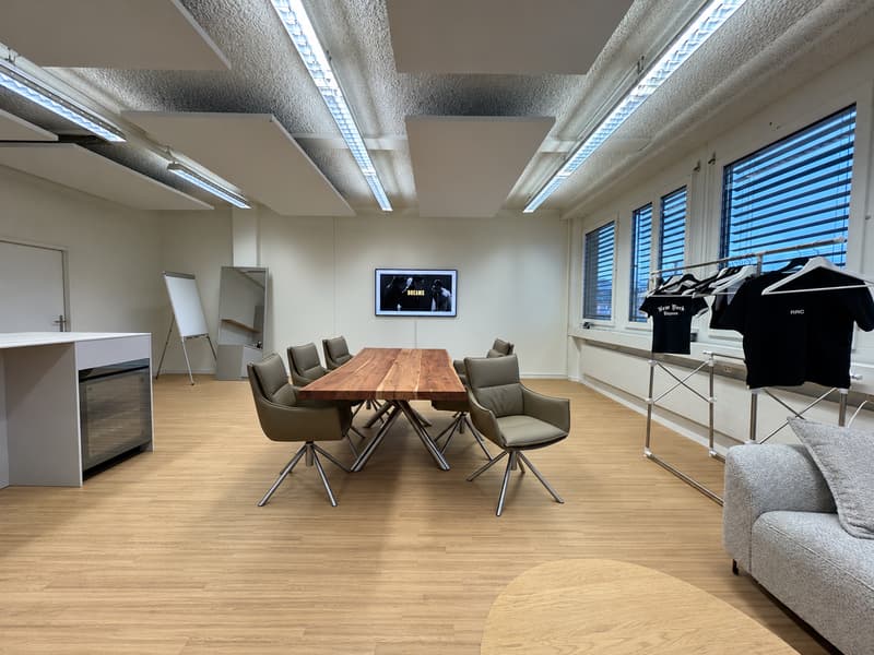 Modernes 2-Zimmer-Büro an zentraler Lage in Schlieren (3)