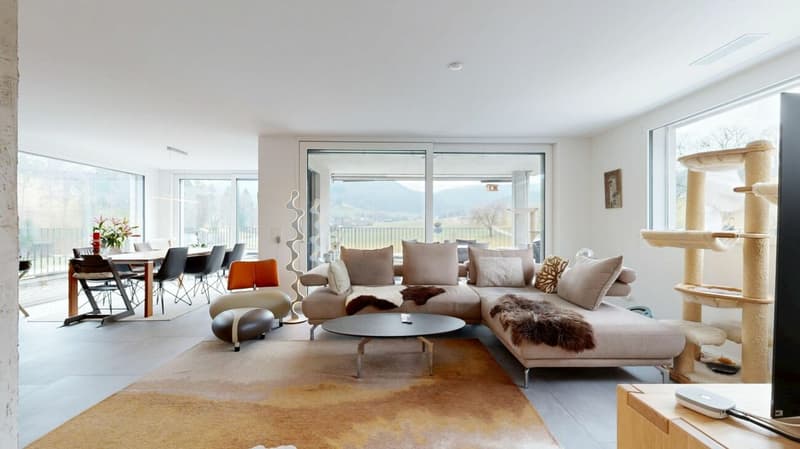 3.5-Room Attic Apartment (8)