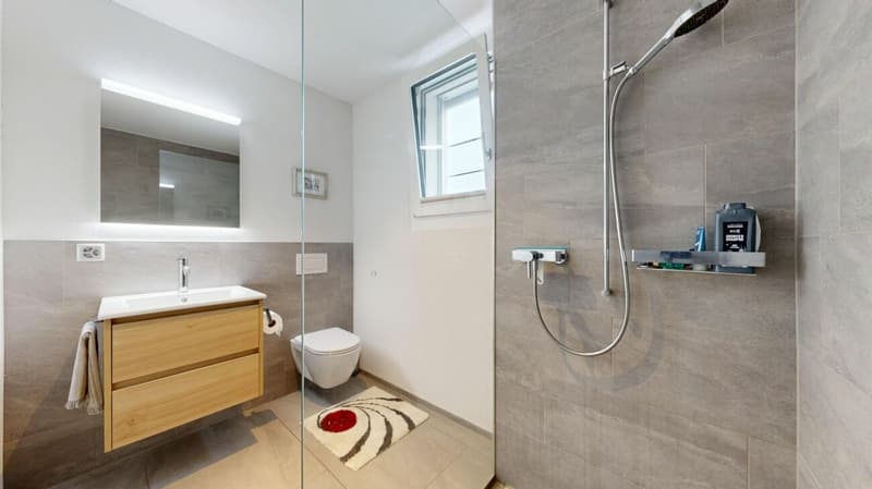 3.5-Room Attic Apartment (12)