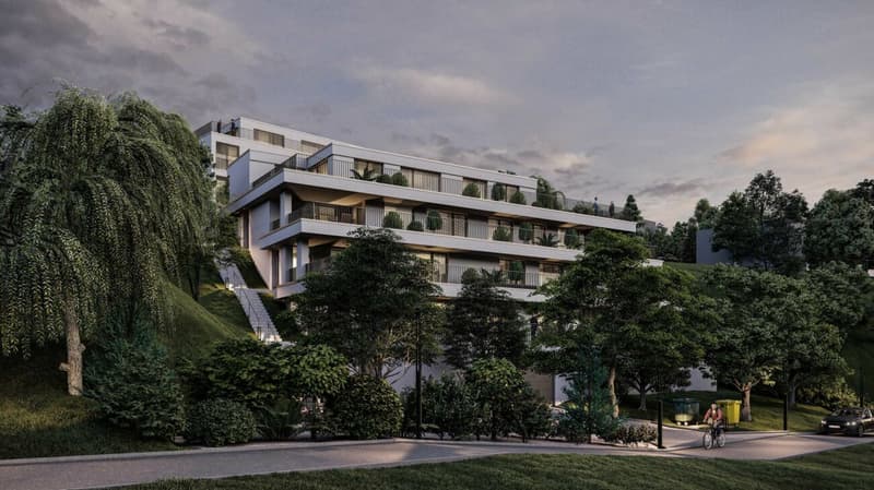 Neubau Terrassenwohnungen - Döttingen (5A) (4)