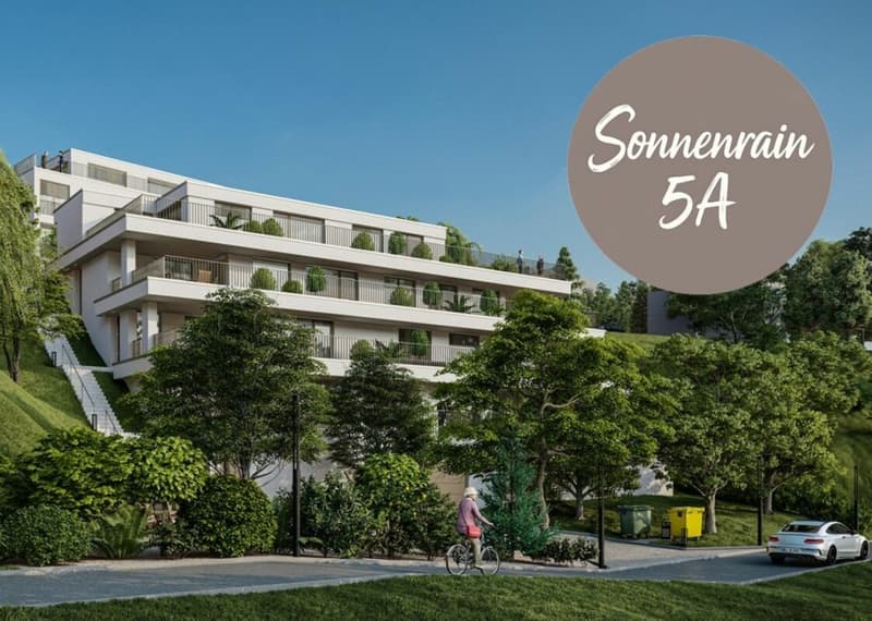 Neubau Terrassenwohnungen - Döttingen (5A) (1)